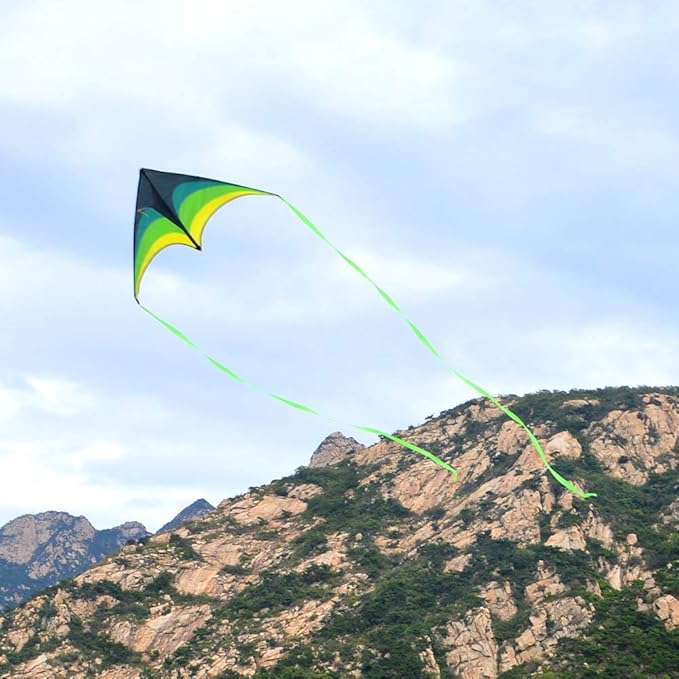 Mint's Colorful Life Delta Kite for Kids & Adults, Extremely Easy to Fly Kite, Best Kites for