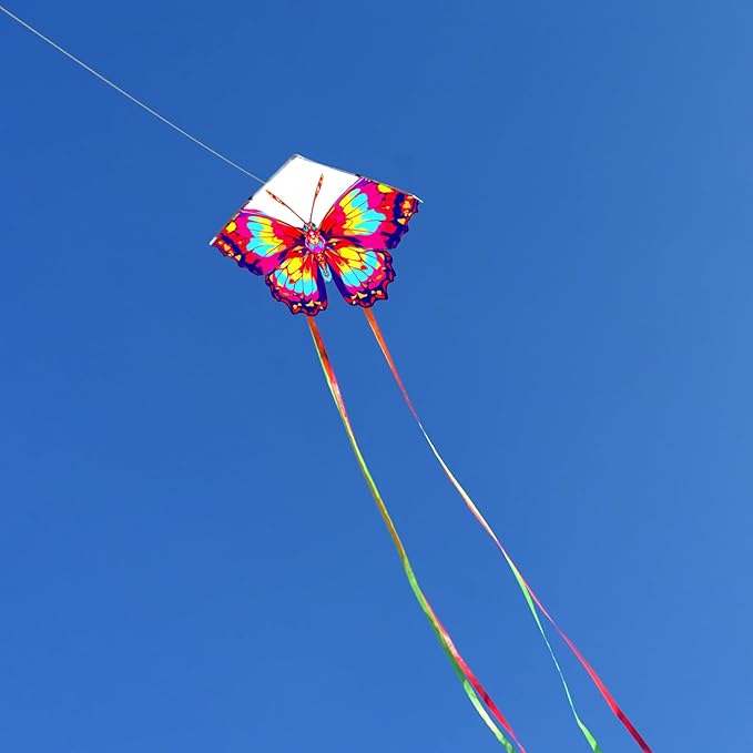 HENGDA KITE 2 Pack Butterfly Kite,for Kids and Adults,Easy to Fly,Excellent Fabric and Structure