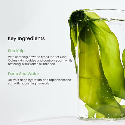 BIODANCE Refreshing Sea kelp Real Deep Mask, Overnight Hydrogel Mask, Calming, Oil & Sebum Control