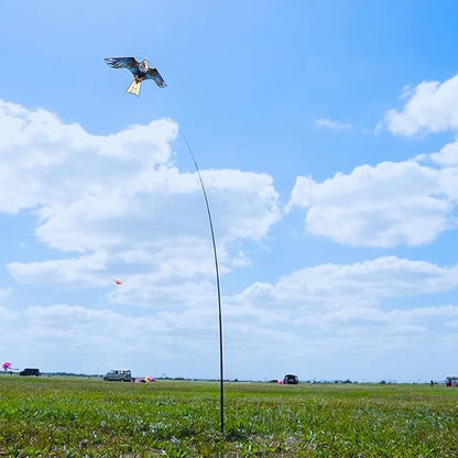 HENGDA KITE Bird Hawk Flying Kite with Pole Crops Farm Protector Bird Scarer Flying Kite with 4m