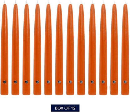 Colonial Candle Unscented Taper Candle, Handipt Collection, Pumpkin, 12 in, Pack of 12 - Up to 10