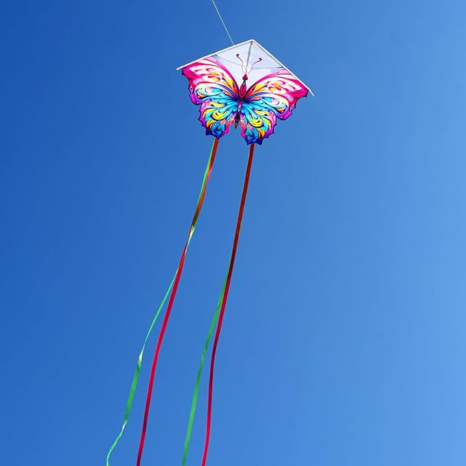 HENGDA KITE 2 Pack Butterfly Kite,for Kids and Adults,Easy to Fly,Excellent Fabric and Structure