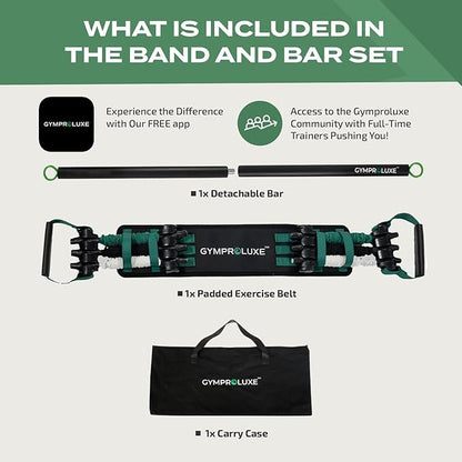 Portable Gym - Resistance Exercise Band Set - 200LBS Resistance Bands for Men & Women - Multi Gym
