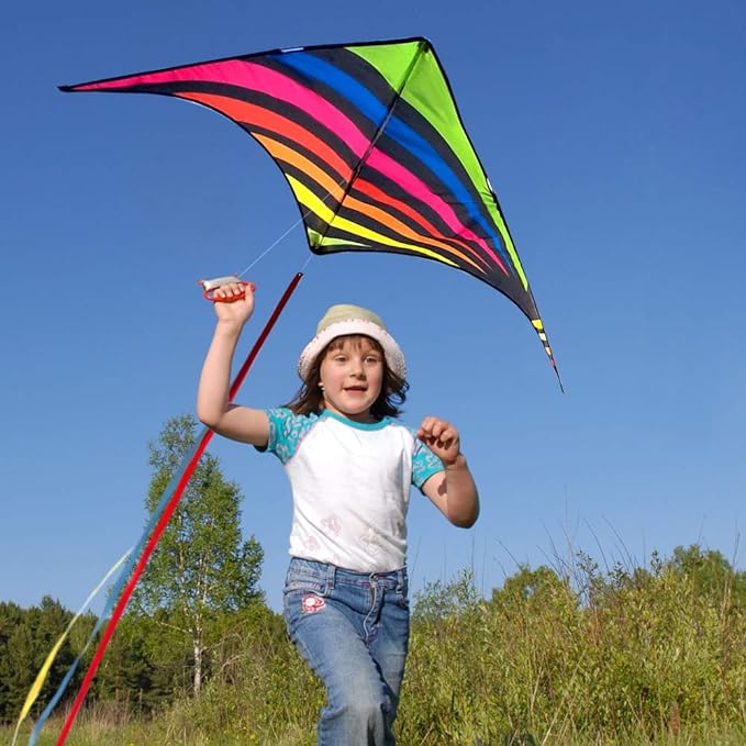 Mint's Colorful Life Delta Kite for Kids & Adults, Extremely Easy to Fly Kite, Best Kites for