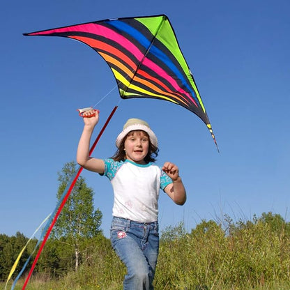 Mint's Colorful Life Delta Kite for Kids & Adults, Extremely Easy to Fly Kite, Best Kites for