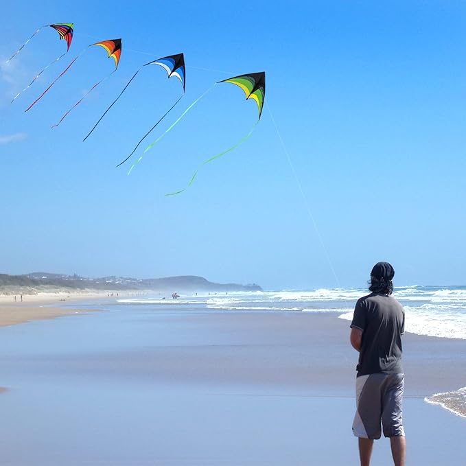Mint's Colorful Life Delta Kite for Kids & Adults, Extremely Easy to Fly Kite, Best Kites for