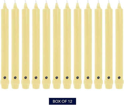 Colonial Candle Unscented Taper Candle, Classic Collection, Limoncello, 10 in, Pack of 12 - Up to 8