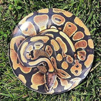 Discraft ESP Buzzz Supercolor Midrange Disc Golf Disc - Custom Design Discraft Discs - Straight