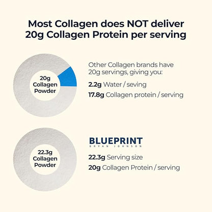 Blueprint Bryan Johnson Hydrolyzed Collagen Peptides Powder – Type I, II & III Collagen for Women &