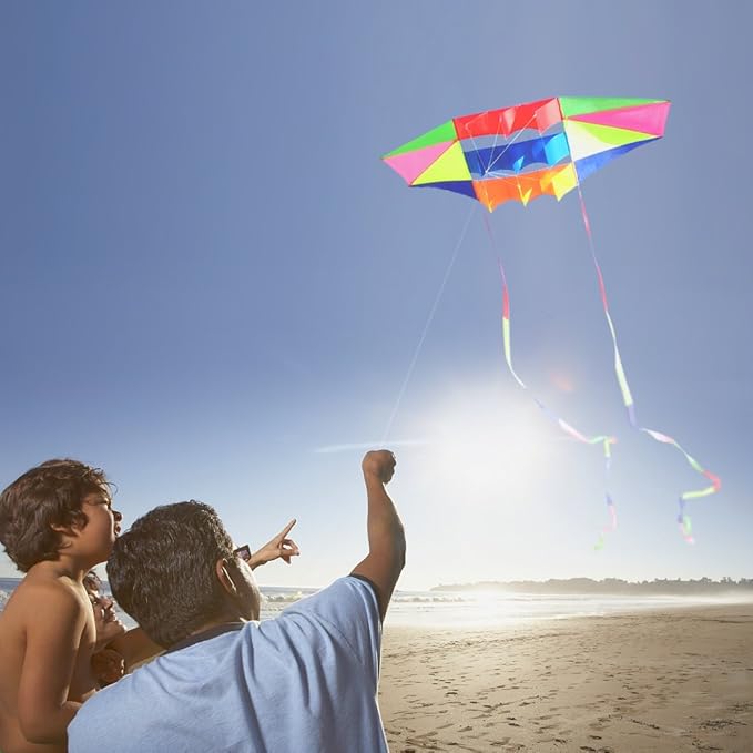 Beach Kites for Adults Large with Long Tail, 98 inches Super Easy Flyer 3D Rainbow Box Kites, Comes