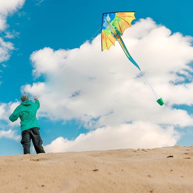 Xida Kites for Kids Ages 4-8, Large Kite for Adults, Easy to Fly Beach Kites with Handle and