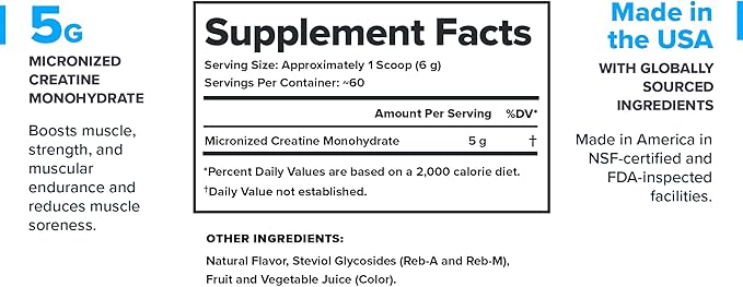 LEGION Micronized Creatine Monohydrate Supplement - Clean Creatine Powder for Muscle Gain & Post