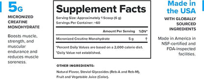 LEGION Micronized Creatine Monohydrate Supplement - Clean Creatine Powder for Muscle Gain & Post
