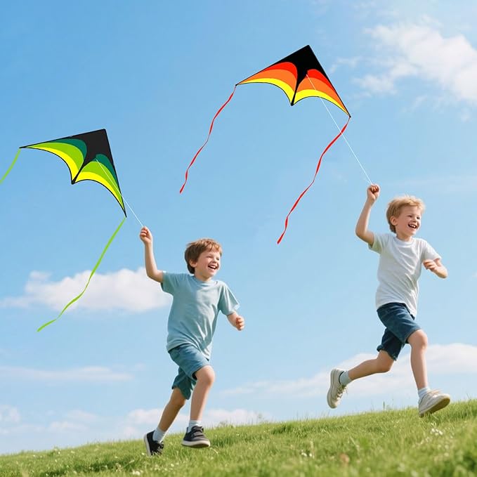 Mint's Colorful Life 3 Pack Delta Kites for Kids & Adults, Easy to Fly Large Kite Set for