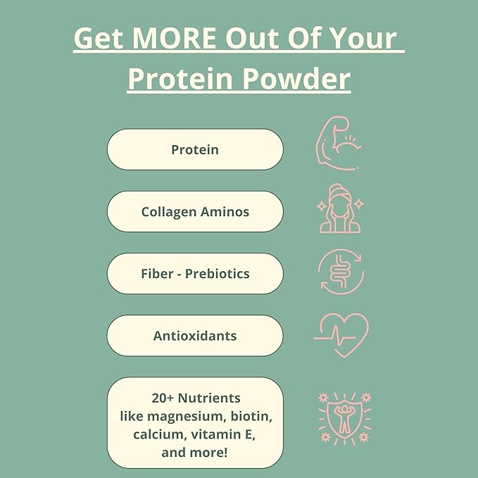 Clean Vegan Protein Powder Chocolate - Plant Based Protein Powder Dairy Free for Gut Health, No
