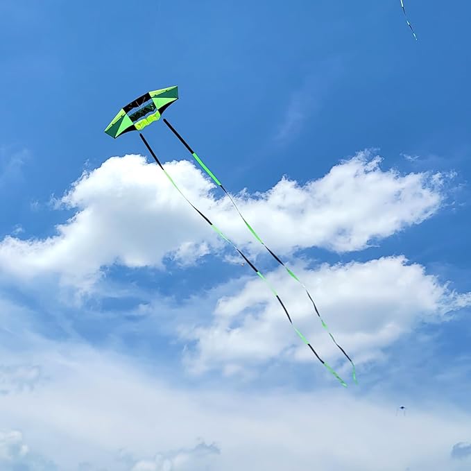 Beach Kites for Adults Large with Long Tail, 98 inches Super Easy Flyer 3D Rainbow Box Kites, Comes