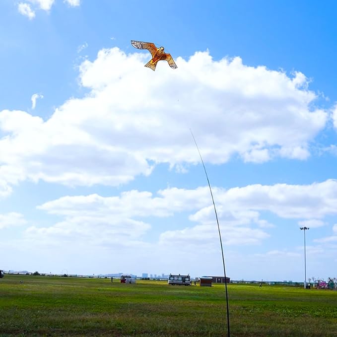 HENGDA KITE Bird Hawk Flying Kite Without Pole for Crops Farm Protector Bird Scarer Flying Kite