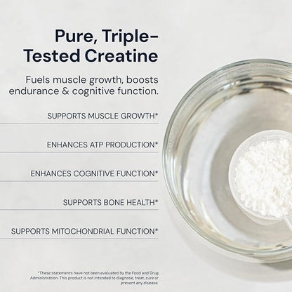 Blueprint Bryan Johnson Creatine Monohydrate Powder – Amino Acid Powder - Suppliment Supports