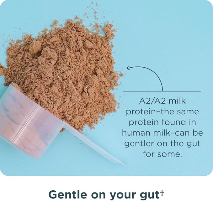 Ancient Nutrition Grass Fed Whey Protein, Chocolate Peanut Butter, 23g Protein, 18 Servings