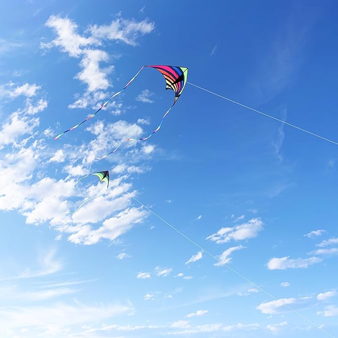 Mint's Colorful Life Delta Kite for Kids & Adults, Extremely Easy to Fly Kite, Best Kites for