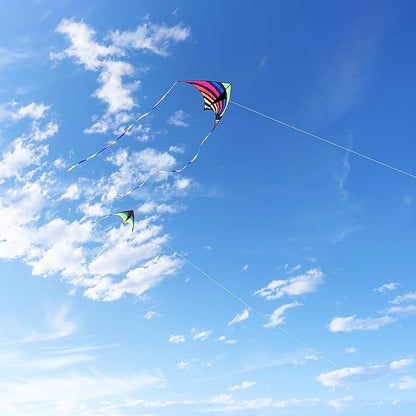 Mint's Colorful Life Delta Kite for Kids & Adults, Extremely Easy to Fly Kite, Best Kites for