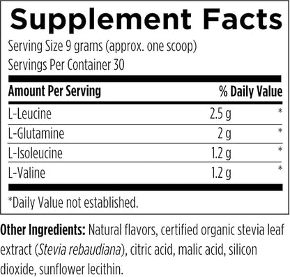 Designs for Health BCAA Powder with L-Glutamine - Branched Chain Amino Acids Powder + L-Glutamine