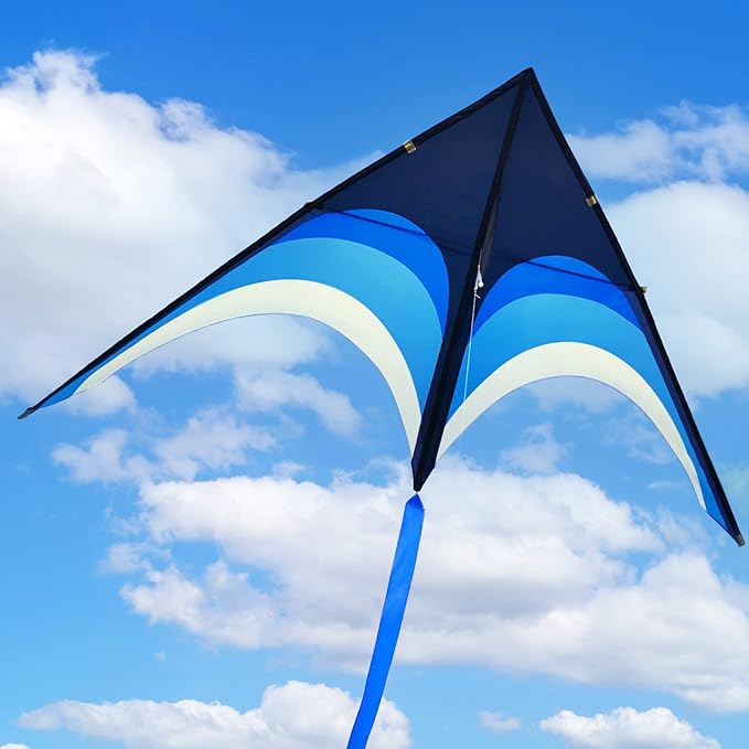 Delta Kite for Kids & Adults - Easy to Fly Large Single Line Beach Kite with 300ft String Handle
