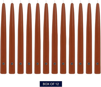 Colonial Candle Unscented Taper Candle, Handipt Collection, Amber, 12 in, Pack of 12 - Up to 10