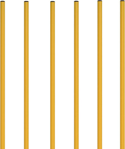 Champion Sports Coaching Sticks