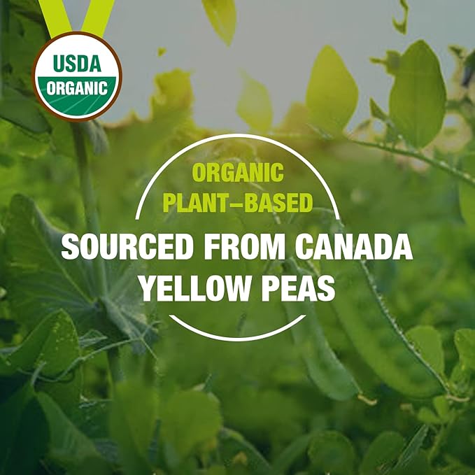 Zammex Organic Pea Protein Powder, 26g Proteins Per Serving,Plant Based 100% Vegan Canada Pea