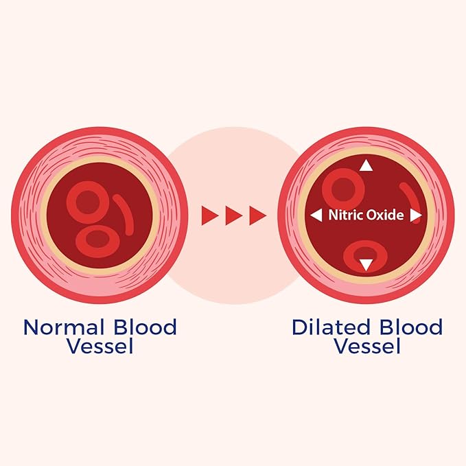 Xtendlife VasQFlow Natural Nitric Oxide Booster Supplement - Circulation & Blood Flow Support with