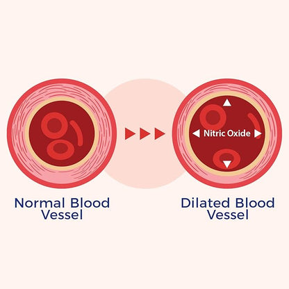 Xtendlife VasQFlow Natural Nitric Oxide Booster Supplement - Circulation & Blood Flow Support with