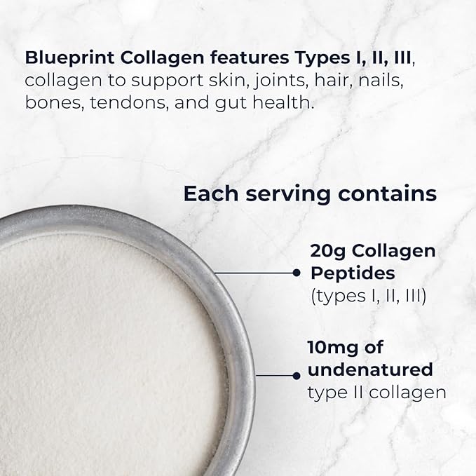 Blueprint Bryan Johnson Hydrolyzed Collagen Peptides Powder – Type I, II & III Collagen for Women &