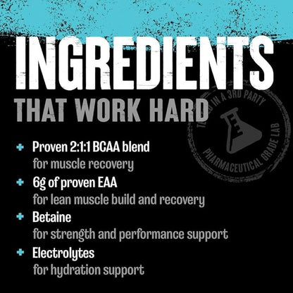Animal Juiced Amino Acids - BCAA Powder EAA Matrix Plus Hydration with Electrolytes and Sea Salt