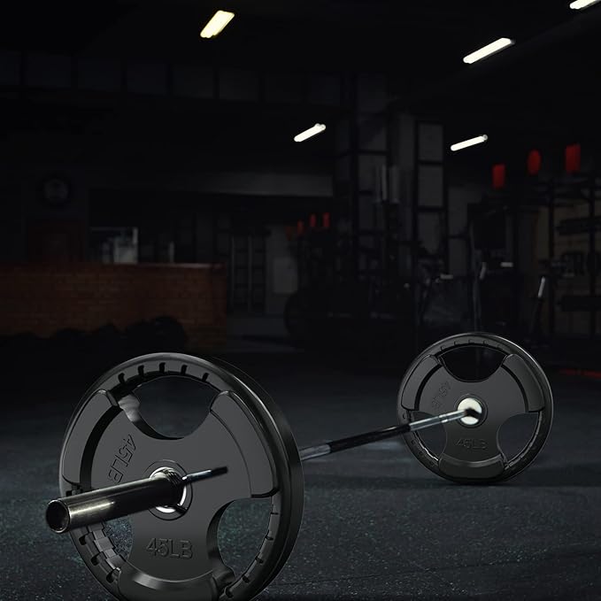 RitFit Olympic Rubber Grip Plates for Barbell, 2-Inch Weight Plates for Weightlifting and Strength