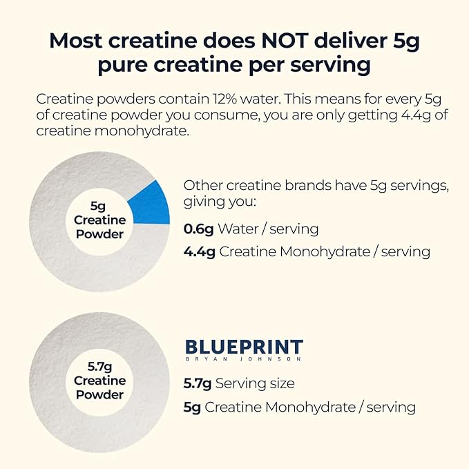 Blueprint Bryan Johnson Creatine Monohydrate Powder – Amino Acid Powder - Suppliment Supports