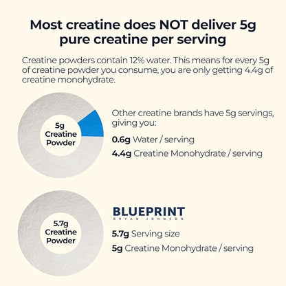 Blueprint Bryan Johnson Creatine Monohydrate Powder – Amino Acid Powder - Suppliment Supports