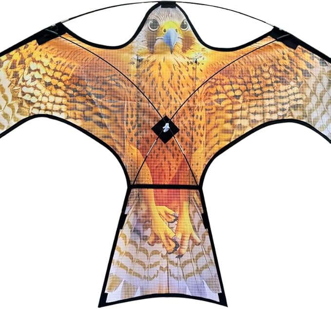 HENGDA KITE Bird Hawk Flying Kite Without Pole for Crops Farm Protector Bird Scarer Flying Kite