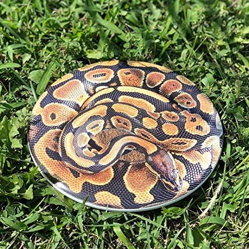 Discraft ESP Buzzz Supercolor Midrange Disc Golf Disc - Custom Design Discraft Discs - Straight