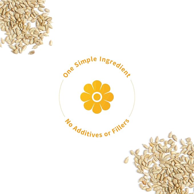 Sprout Living Simple Sunflower Seed Protein Powder, 15 Grams Organic Plant Based Protein Powder