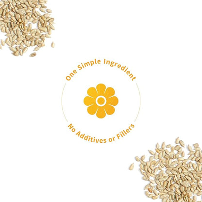 Sprout Living Simple Sunflower Seed Protein Powder, 15 Grams Organic Plant Based Protein Powder