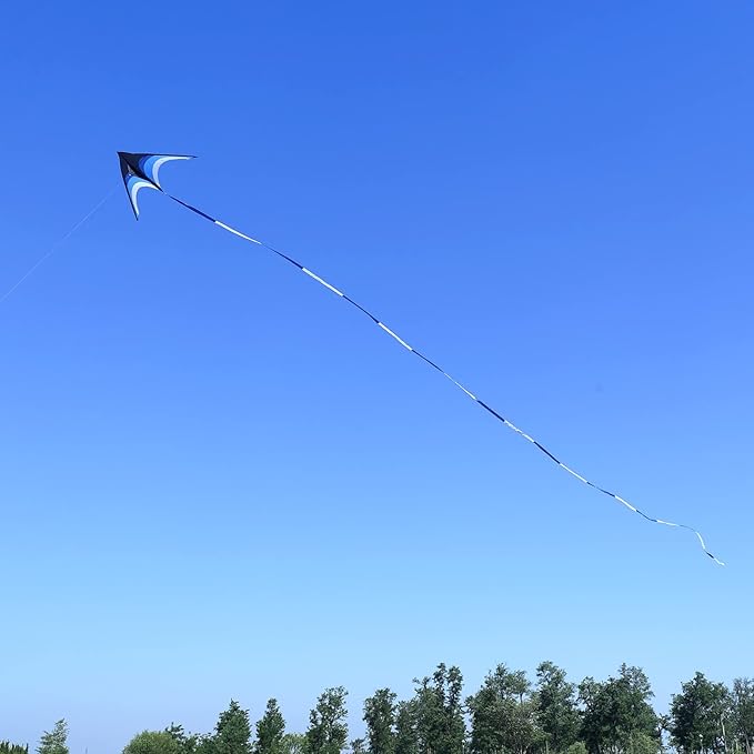 Delta Kite for Kids & Adults - Easy to Fly Large Single Line Beach Kite with 300ft String Handle