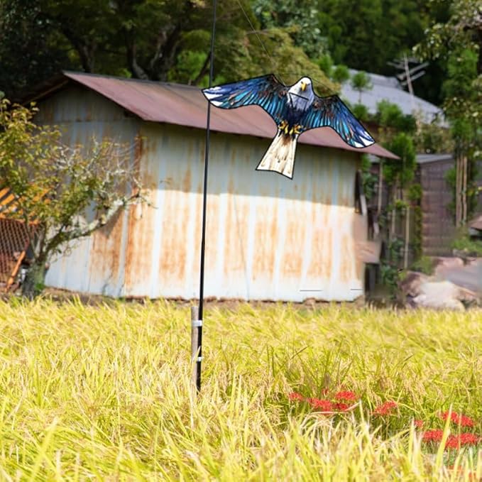 HENGDA KITE Bird Hawk Flying Kite with Pole Crops Farm Protector Bird Scarer Flying Kite with 4m