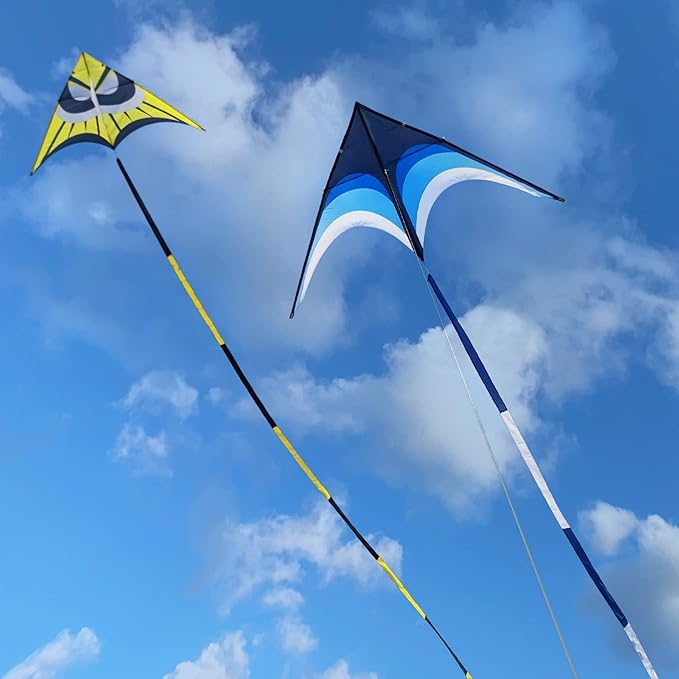 Delta Kite for Kids & Adults - Easy to Fly Large Single Line Beach Kite with 300ft String Handle