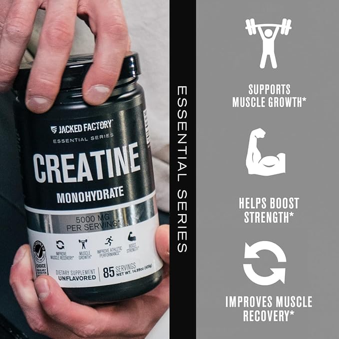Jacked Factory Creatine Monohydrate Powder 425g - 5g Daily Creatine Supplement for Men and Women
