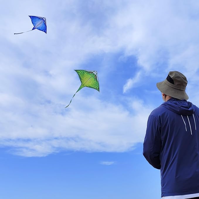 Mint's Colorful Life Devil Fish Kite for Kids and Adults，Easy to Fly Delta Kites Single Line Large