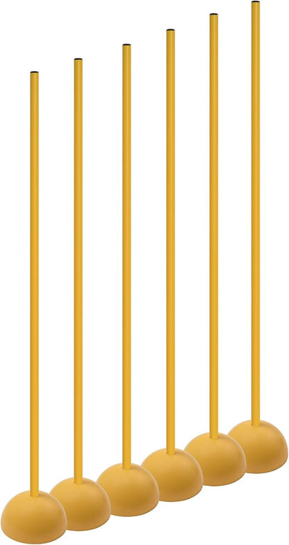 Champion Sports Coaching Sticks