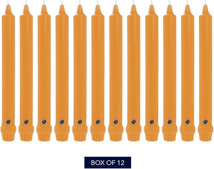 Colonial Candle Unscented Taper Candle, Classic Collection, Caramel, 10 in, Pack of 12 - Up to 8