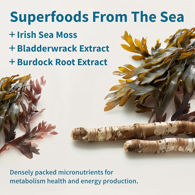 Snap Supplements Irish Sea Moss Capsules with Bladderwrack, Burdock Root & Iodine ??Supports