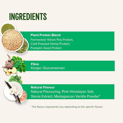 Vivo Vegan Protein Powder - 0.7 oz of Plant-Based Protein per Scoop, 30 Servings (31.7 oz)